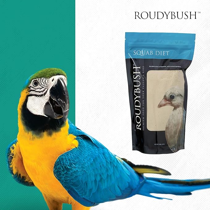RoudyBush Squab Diet for Doves & Pigeons, Daily Food for Baby Birds, Crop Milk Replacement Formula for Baby Doves & Pigeons, Formulated Nutrition for Days 7-14, Hand Feeding Mix for Squabs, 1 Pound