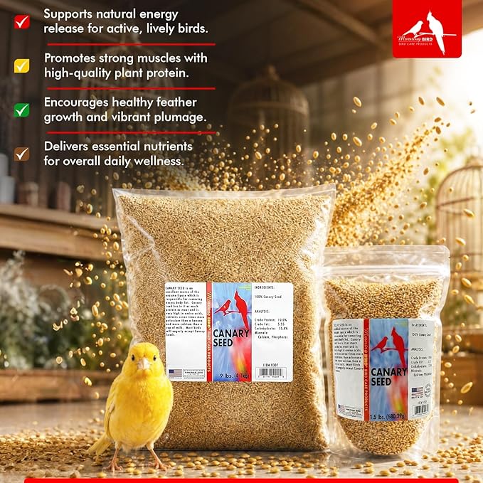 Morning Bird Canary Seed 1.5 lbs – Nutrient-Rich Bird Seed – Creamy Golden Grain Powerhouse - Supports Healthy Feathers & Strong Bones – Natural Daily Nutrition for All Bird Types