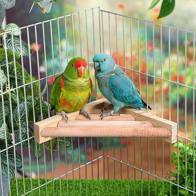 Wettarn 3 Pcs Bird Perch Platform Bird Corner Parrot Perch Corner Wooden Stand Sector Playground Cage Accessories Shelf for Parakeet Conure Cockatiel Budgie Gerbil Rat (7.1 x 7.1 Inch,Ladder)
