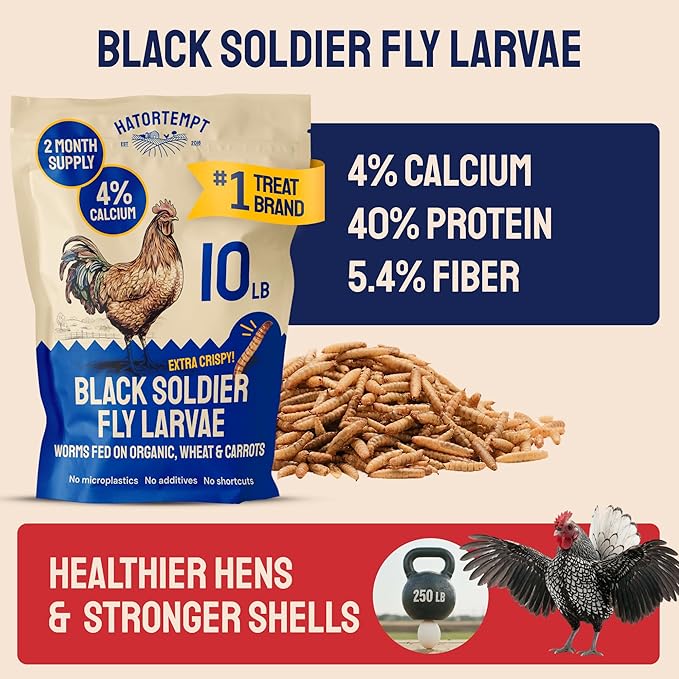 Hatortempt 10lbs Black Soldier Fly Larvae for Chickens - 114X More Calcium Than Mealworms for Chickens - High Protein Worms - Feed Treats for Laying Hens, Quails and Ducks