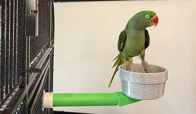 Polly's Mess Less Cups for Your Bird cage-Recommended for All Types of Birds Including Parakeets, Cockatiels, Parrots, Macaws, Cockatoos and More! (Large Short (14" x 1 3/8"))