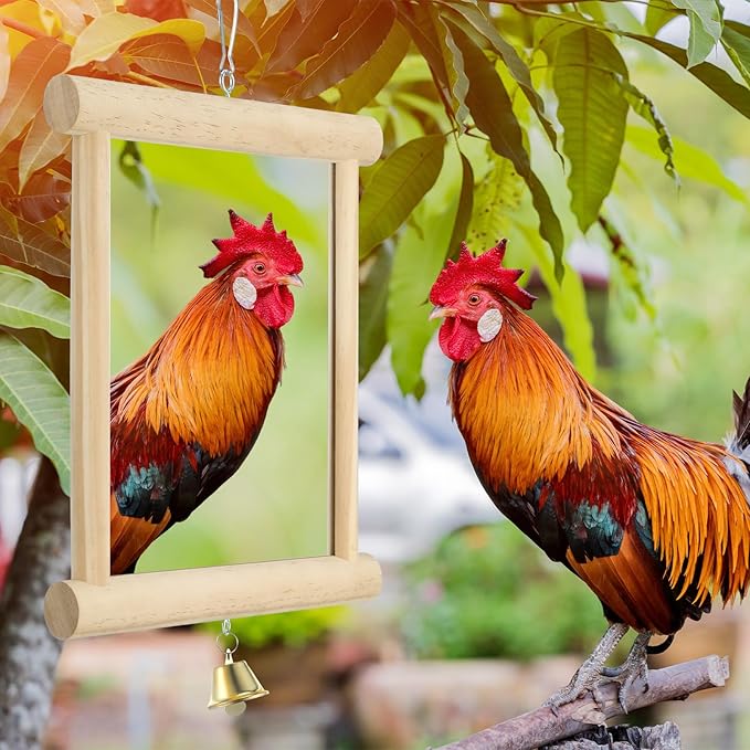 Sadnyy Extra Large Chicken Mirror Toys Hanging Swing Double Side Mirror with Bell Wooden Pecking Toy for Hens Birds Parrots Coop Roosters Enrichment Toy for Poultry(Square, Wood, 1pcs)