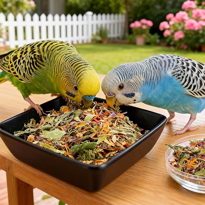 Abizoo Cockatiel & Conure Birds Foods Treats Seed Supplement for Love Birds Quaker Parrot Parakeets Digestive Health & Feather Support with Chia Flax Seeds Calendula Natural Comida para Pajaritos