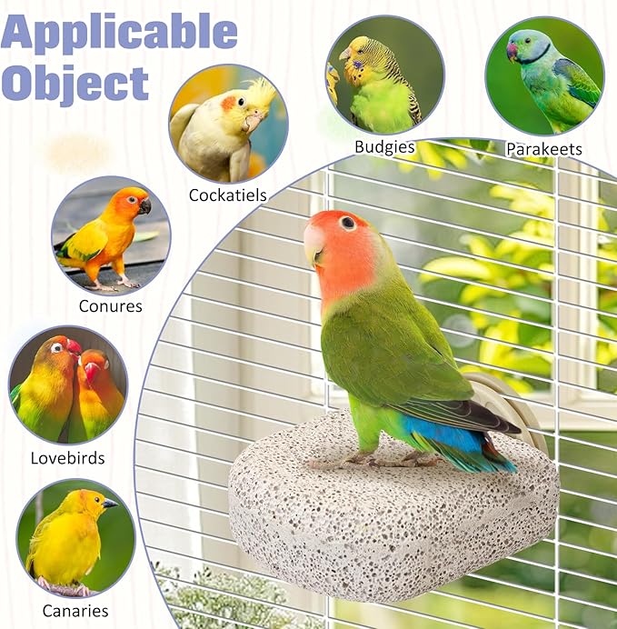 BNOSDM 4 Pcs Small Natural Parrot Beak Grinding Stone Parakeet Chew Toy Calcium Parrot Perch Stand Bird Cage Accessories for Budgies, Cockatiels, Conures, Lovebirds, Canary