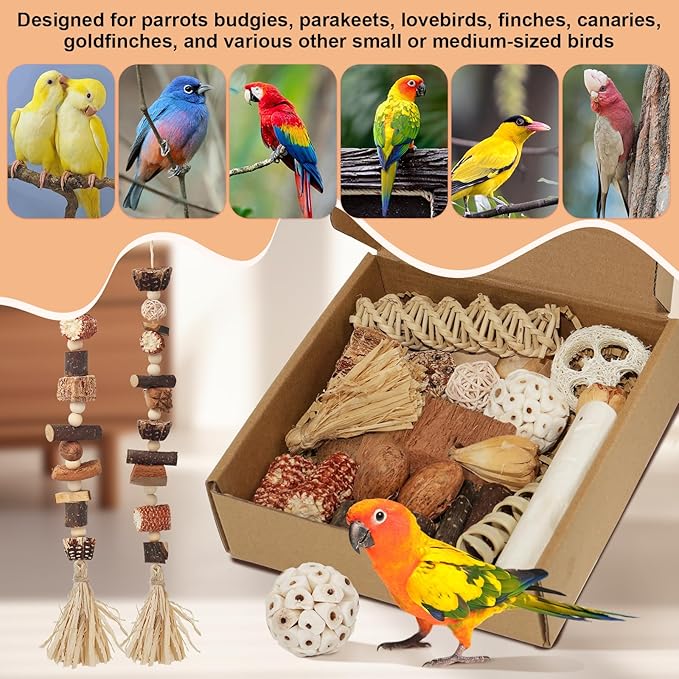Bird Toys Parrot Natural Foraging Box Parakeet Toys DIY Hanging String for Cockatiels,Conures,Love Birds,and Other Small to Medium Birds Cage Accessories (Medium)