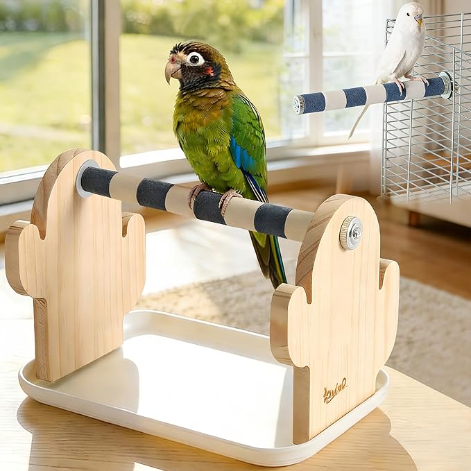 Wood Bird Perches Stand，2-in-1 Parrot Perch Stand，Portable Bird Stand，9.1''L*5.3''W*5.7''H Bird Training Stand with Removable Plastic Tray for Small and Medium-Sized Birds Play Stand(Cactus-White)