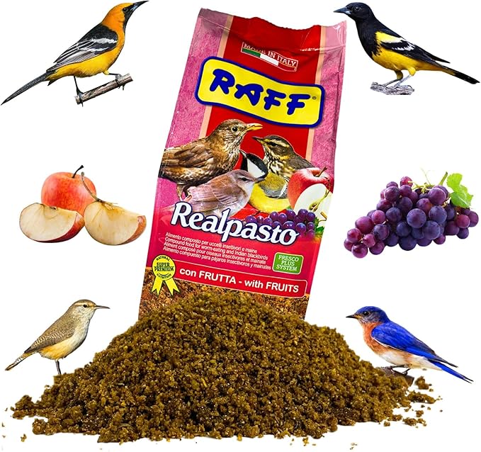 RAFF Realpasto Natural Bird Food 1kg - Premium Nutrition with Fruits Compound for Worm-eating and Indian Blackbirds, Formulated to Stimulate Singing & Support Vibrant Plumage Color