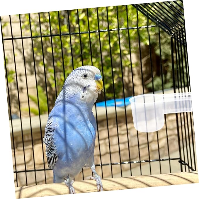 balacoo 10pcs Plastic Water Bottle Bird Drinker Feeder Cup Water Feeder Cup Chicken Pigeons Trough Animal Feeding Accessories