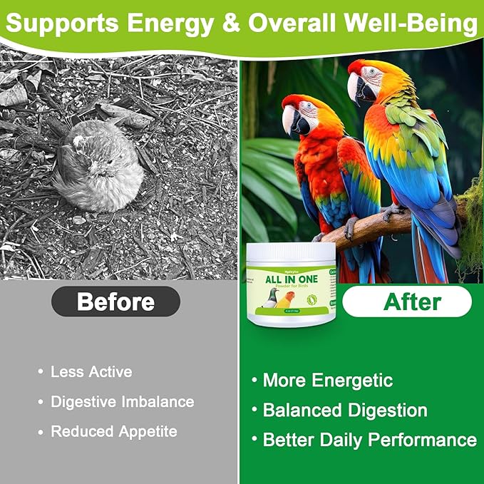 All in One Medicine Powder for Pigeon Parrots Canary Finches Parakeet Cockatiels Aviary Birds, Helps Maintain Digestive Balance Overall Vitality, Drinking Water Additive Wellness Support Powder