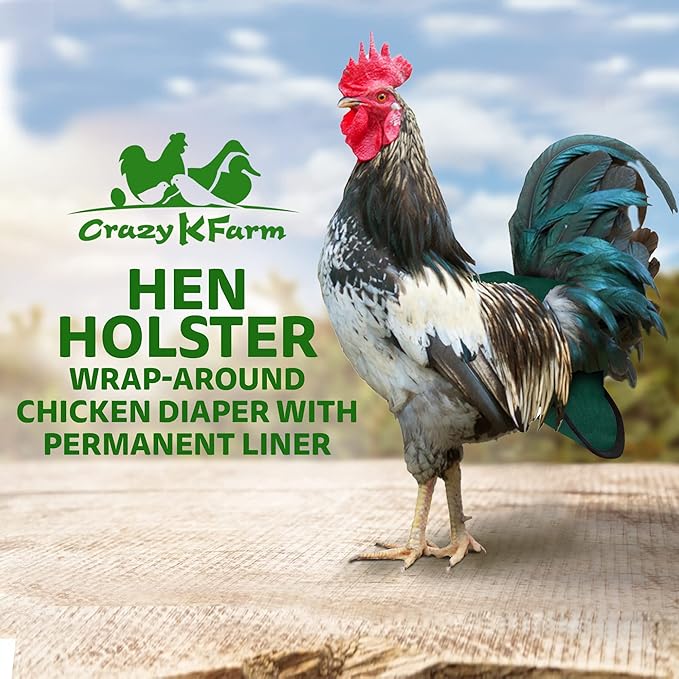 Hen Holster Premium Starter Kit - Bird Diaper, Wrap Around for Hens, Roosters, Ducks - Leak-Proof, Comfortable Bird Harness with Sewn-in Liner, Secure Hook & Loop Closure - XL, Green