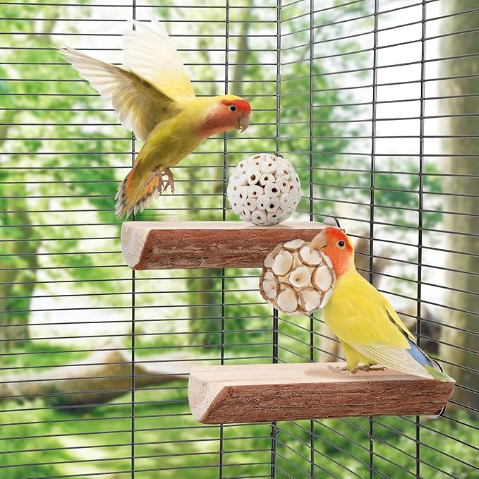 andwe Bird Toy Sola Balls - Natural Soft Chew Shredding & Foraging Toy for Cockatiel Conure Quaker Parrot Budgie Parakeet Rabbit Bunny Guinea Pig Chinchilla (Style 2 (Pack of 6))