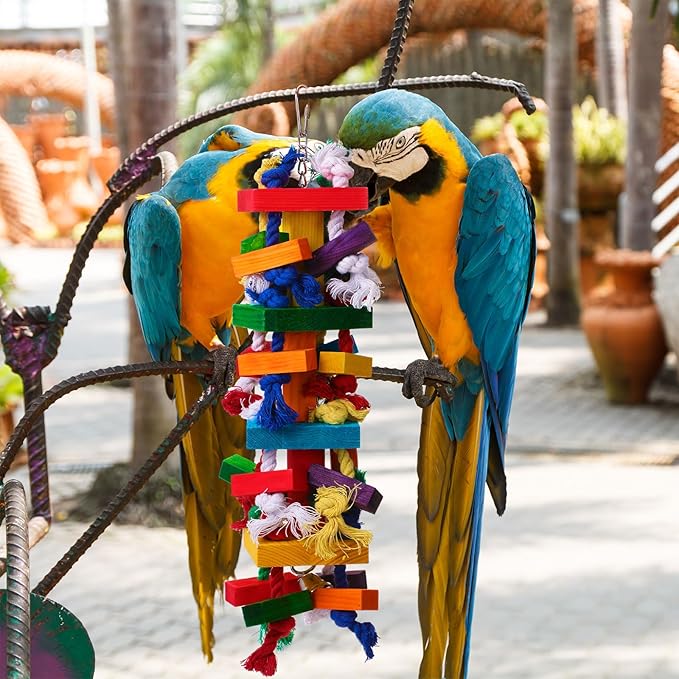 Soulchen 4 Pcs Extra Large Bird Parrot Toy Set Natural Wooden Chewing Toy, Rattan Ball, Wood Nut Loofah String (Bagged) for Large Macaws, African Grey, Amazon Parrots (Colorful Ring)