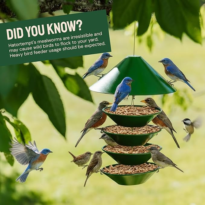 Hatortempt Dried Mealworms for Wild Birds - 1.8 Lb Bag - Bluebird Food - High-Protein Meal Worms for Blue Birds, Robins and Chickadees