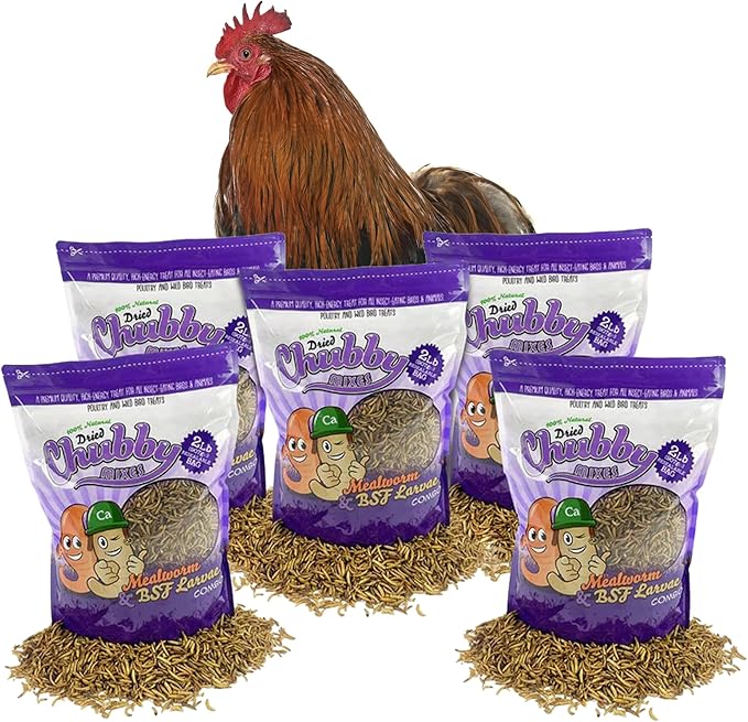 Chubby Mix Mealworm & Black Soldier Fly Larvae | 10 lbs | Non-GMO High-Protein Dried Insects for Chickens, Ducks & Wild Birds – Calcium-Rich Chicken Treats