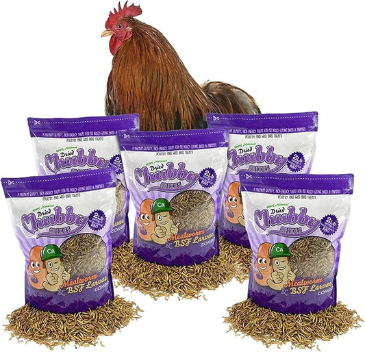 Chubby Mix Mealworm & Black Soldier Fly Larvae | 10 lbs | Non-GMO High-Protein Dried Insects for Chickens, Ducks & Wild Birds – Calcium-Rich Chicken Treats