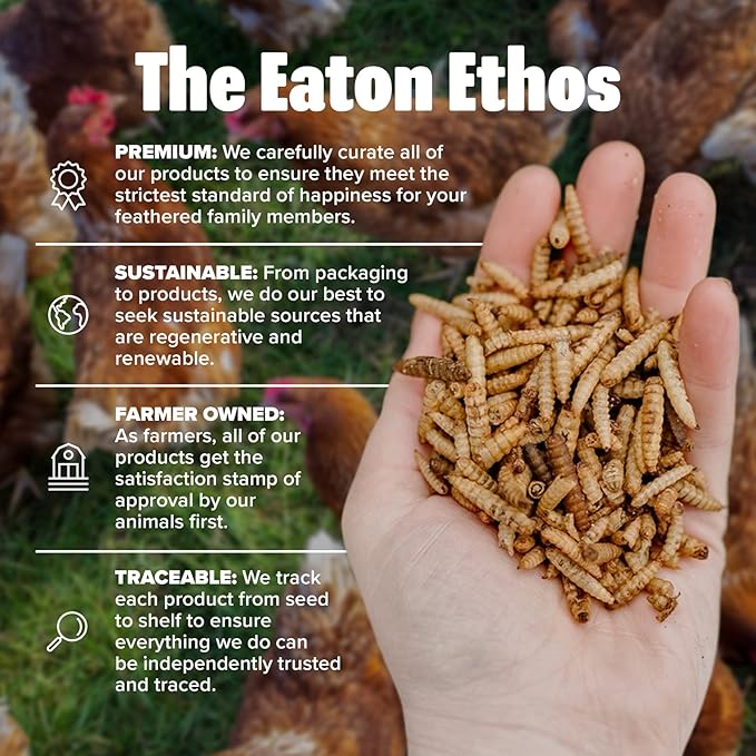 Eaton Pet and Pasture Premium Grubs, USA Grown Dried Black Soldier Fly Larvae, High Calcium Treat for Chickens, Ducks, Wild Birds (1 LB) (Pack of 2)