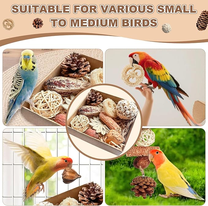 2 in 1 Parrot Toys, Parakeet Foraging Box DIY Hanging String with Comes with 2 Hooks Bird Toy for Parakeets,Cockatiels,Conures,Love Birds Cage Accessories for Small to Medium Birds