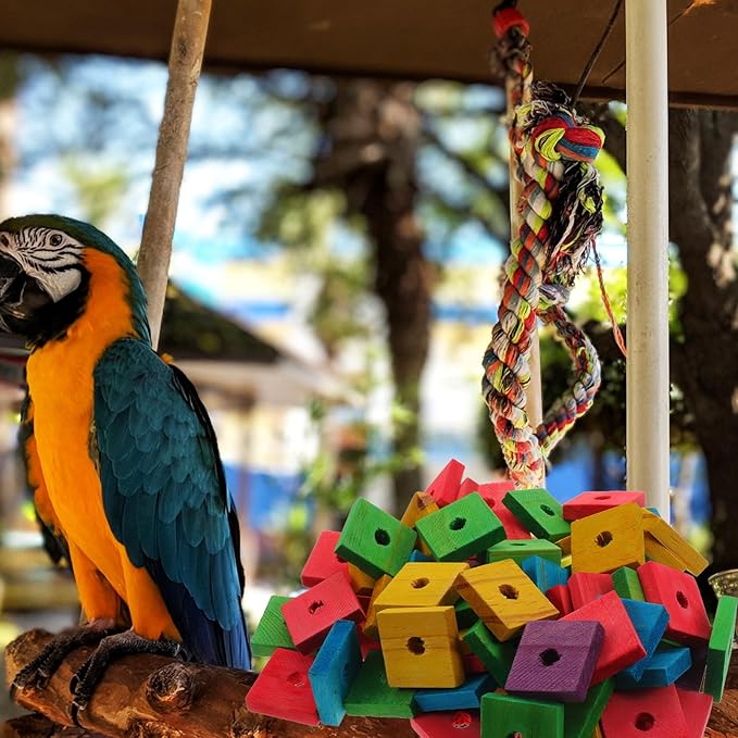 SEWACC 100pcs Parrot Wooden Chewing Toys, Bird Toy Wood Blocks, Mini Wood Chips for DIY Playing Chewing Shredding