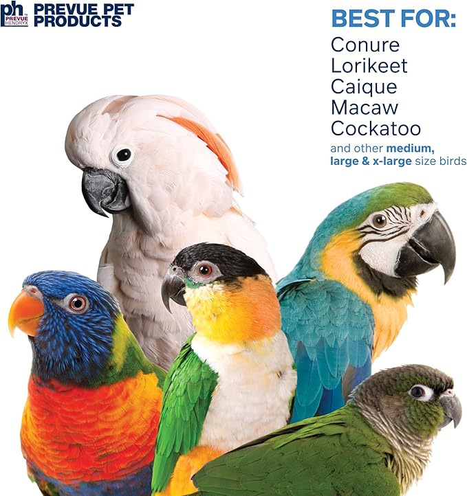 Prevue Pet Products Jellyfish Bird Toy - Accessories for Parrots, Conures, Cockatiels, Budgies, and Medium to Large Birds, Hanging Cage Toy for Foraging, Exploration, Beak Exercise and Enrichment