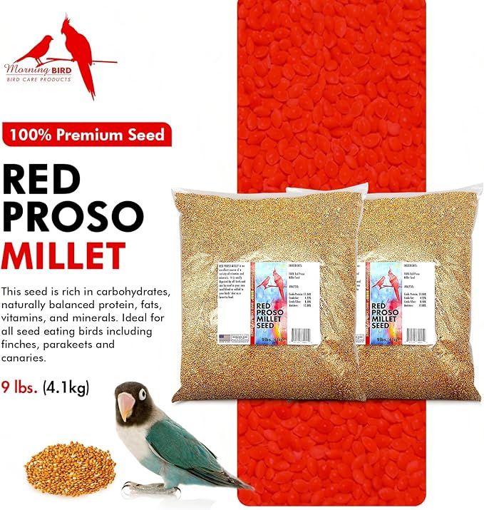 Morning Bird Red Proso Millet Bird Seeds 18 lbs (2-Pack, 9 lbs Each) – Healthy & Nutritious Pet Bird Food - Bird Seeds for Feather Growth – Perfect for Finches, Parakeets & Other All Pet Birds