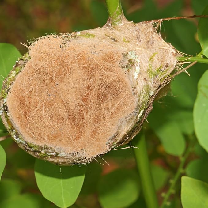 Yardwe 1bag Natural Bird Nesting Material Indoor DIY Bird Nest Supplies Raffia Grass for Parrots Hummingbirds Wild Birds for Bird House Cage Nesting