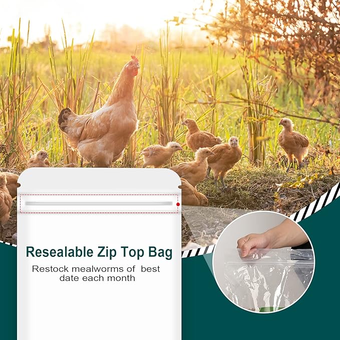 10LBs Non-GMO Dried Mealworms,High-Protein Larvae Treats Feed Molting Supplement for Birds Hens Ducks etc,Large Bulk Meal Worms Birds Chicken Food