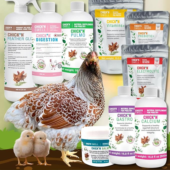 Poultry Digestion-Chick'n Gastro for All Poultry of All Ages. from Chick'N Swell Brand- Designed to Support Proper intestinal Health and Prevent Problems. 16.8 fl oz