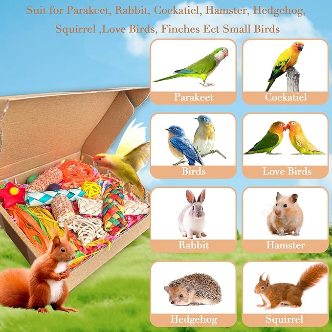 Parakeet Toys, Bird Toy Conure Grass Mat Budgie Shredder Hanging Set Cockatiel Foraging Toys Parrot Climbing Wall Toy Lovebird Cage Accessories for Small Birds