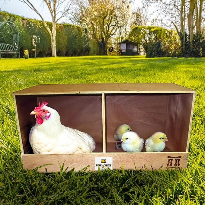 Rugged Ranch Duplex 24"x12"x12" Dual-Compartment Hen Nest Cubby for 2 to 4 Hens - Wooden Chicken Coop Accessory for Interior Use, Furniture-Grade Wood, Easy Assembly