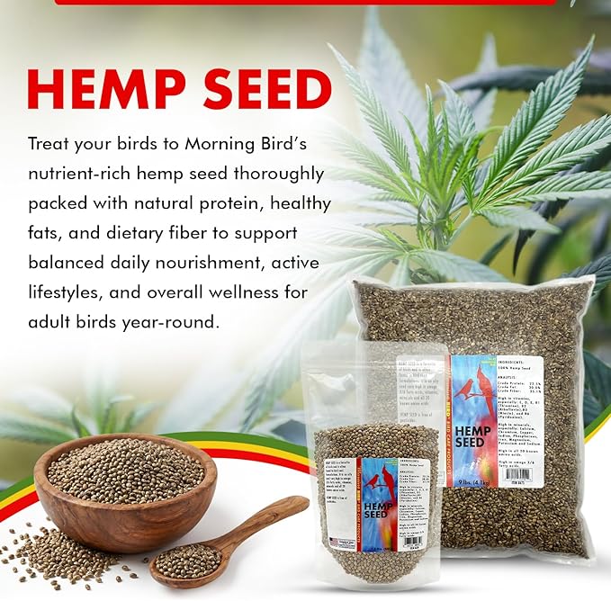Morning Bird Hemp Seeds 1.5 lbs – Natural Superfood Seed – High in Natural Protein, Healthy Fats, Omega 3 and 6 Fatty Acids, Delicious Natural Flavor, Supports Feather Growth & Overall Health