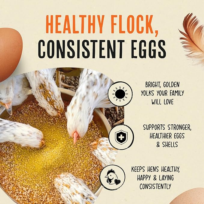 Roosty's Gold Dust Daily Egg Booster - Golden Yolks and Stronger Shells - All Natural Omega-3 Rich - US Made Chicken Supplement - Chicken Health Supplies