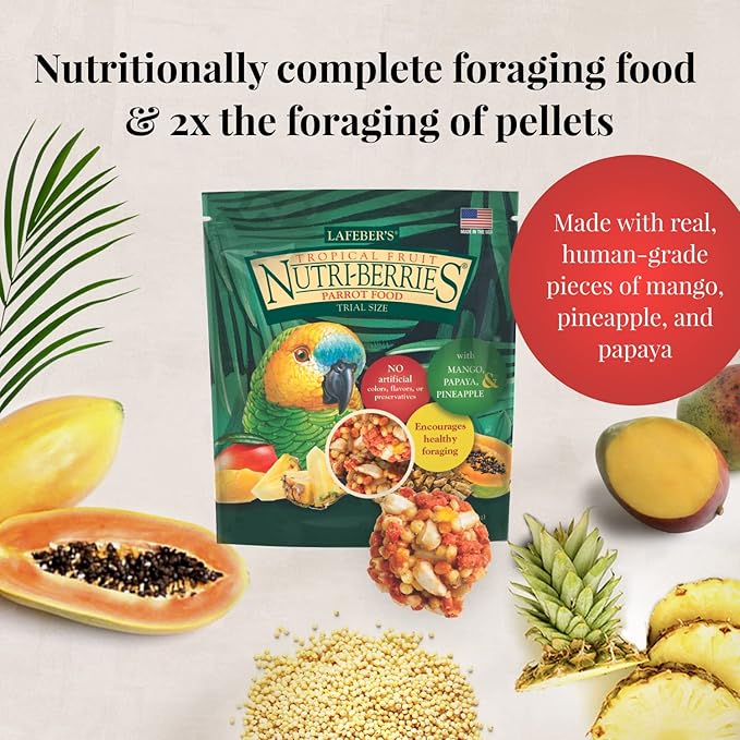 LAFEBER'S Foraging Fun Pack Pet Bird Food, Made with Non-GMO and Human-Grade Ingredients 5 oz (Parrot)