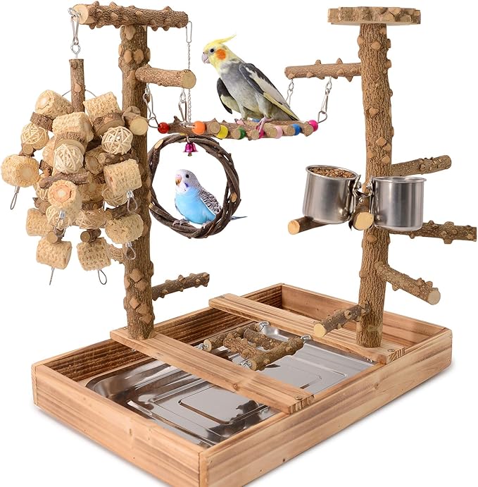 Natural Wood Bird Perch Stand, Multi-Layer Parrot Playground Gym with Feeding Cups and Toys, Real Branch Activity Center for Cockatiels, Parakeets, Conures, Budgies, Tabletop and Cage Top Use