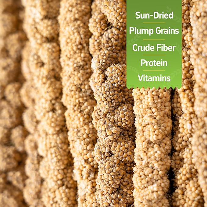 14 Oz Spray Millet Treat for Bird, for Parrot, Budgies, Parakeets, Cockatiels, Finches, Lovebirds, Canaries and Other Pet Birds