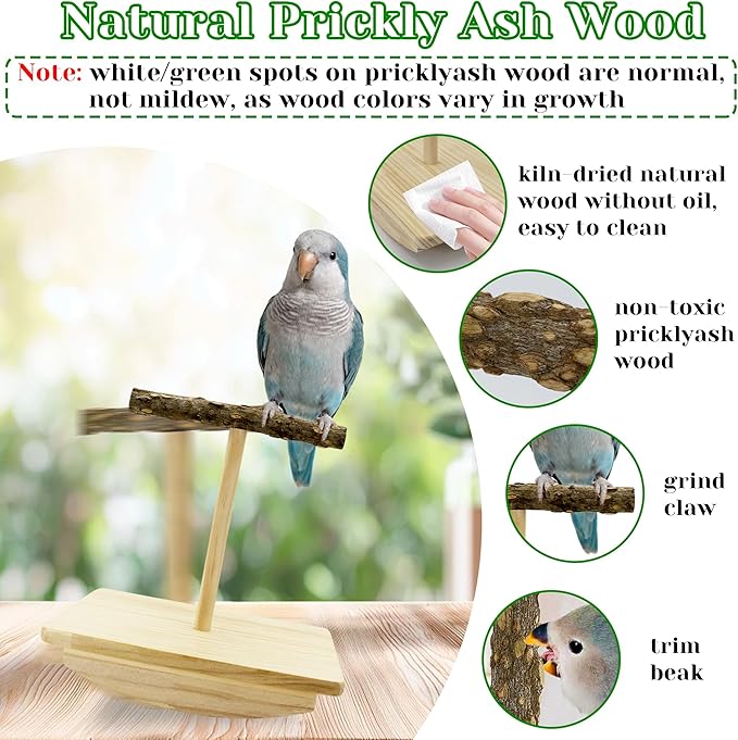 Natural Wood Bird Perch Stand Training, Quaker Parrot Toys, Intelligence Puzzle Enrichment Toys for Parakeets, Wooden Parrot Perch Platform for Large Birds, Bird Playground Play Stands for Sun Conure