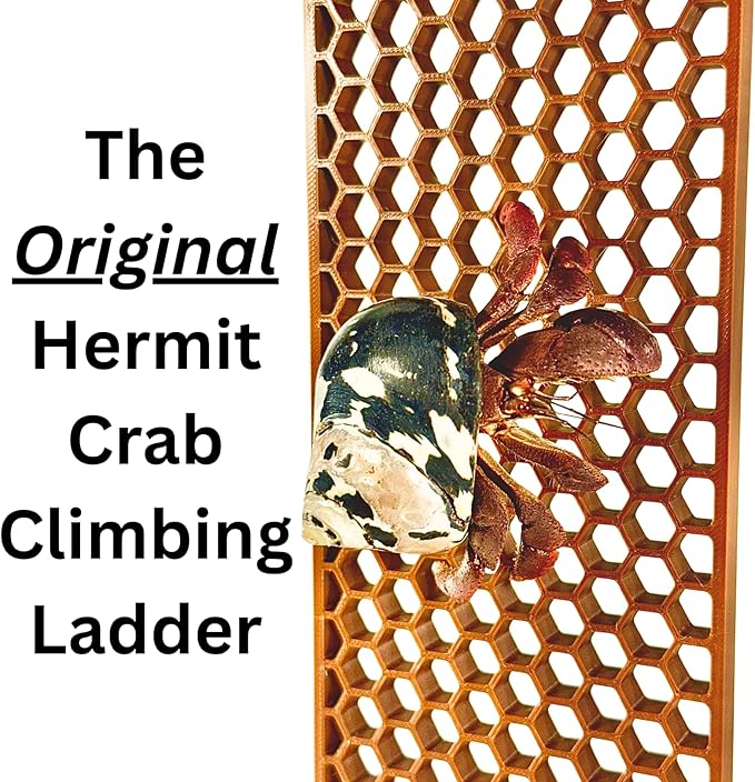 Lucky Critter Hermit Crab Ladder Climbing Toy | Hermit Crab Tank Enrichment Decor | Hermit Crab Decoration Accessories Supplies Toys Ornaments
