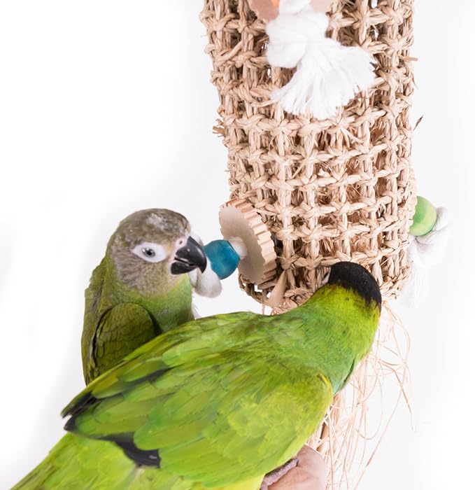 Penn-Plax Bird-Life Natural Seagrass Weave Kabob - Climbing, Hanging, Chewing Bird Toy - for Medium to Large Sized Birds - 21’’H