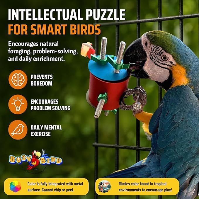Bird Toys for Large Birds (Barrel) | Treat Dispenser for Macaws, Cockatoos, Cockatiel & Parrots | Bird Foraging Toy for Medium to Extra Large Birds | Natural Foraging Behavior Builder | Colorful Toys