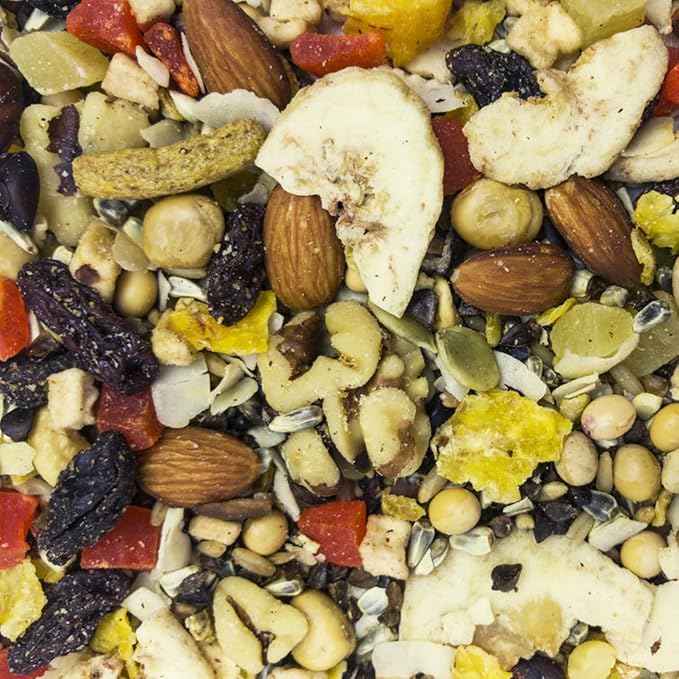 Higgins 466702 Higg Avian Fruit To Nut Treat For Birds, 20-Pound