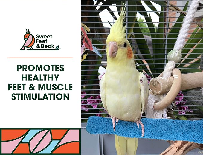 Sweet Feet and Beak Comfort Grip Safety Perch for Bird Cages - Pedicure Perch for Birds to Keep Nails and Beaks in Top Condition - Safe Easy to Install Bird Cage Accessories M 8.5" - Green