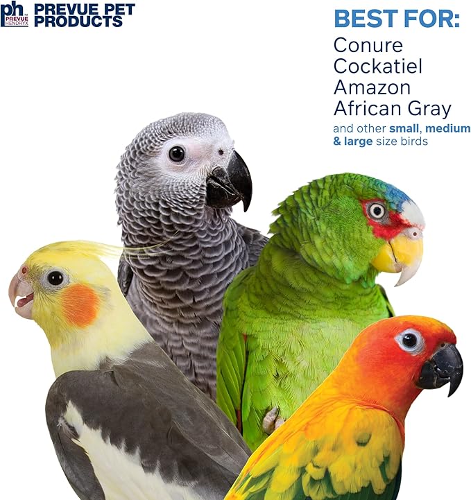 Prevue Pet Products Bodacious Bites Ferris Wheel Bird Toy - Accessories for Parakeets, Conures, Cockatiels, and Small to Large Birds, Hanging Cage Toy for Climbing, Chewing, and Beak and Foot Exercise