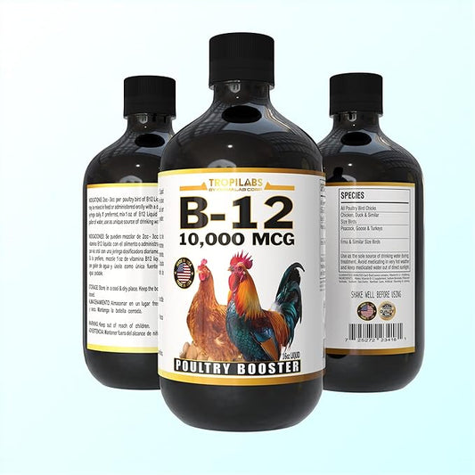 B12 B-12 Liquid 10,000 MCG Supplement for Poultry Birds, Chickens, Hens, Roosters, Pigeons, Ducks, Gooses, Turkeys & All Farm Animals 16oz Vitamin Drinking Water Additive (Chicken Farm Booster)