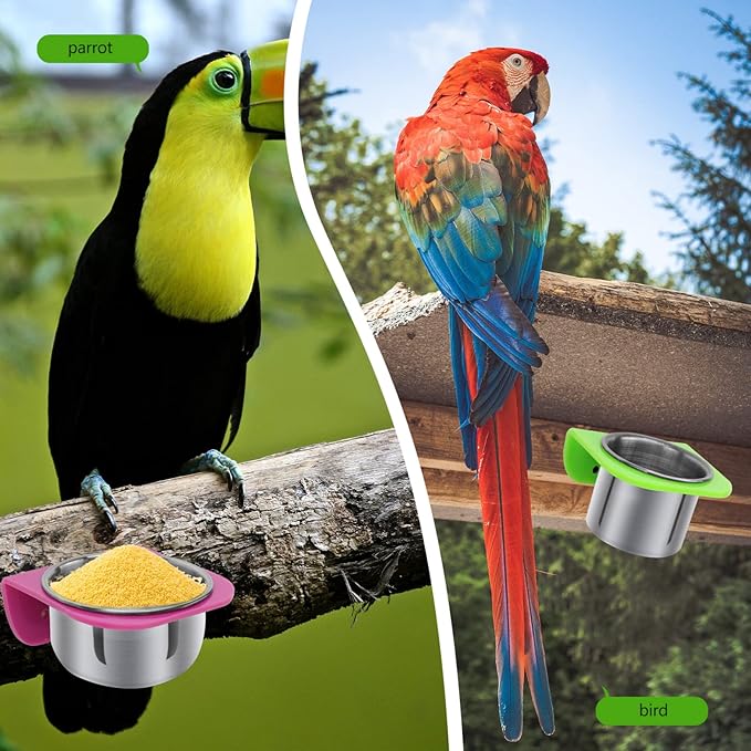 Practical Parrot Food Box Feeding Cups Eco-Friendly No Harmful Easy to Maintain Use
