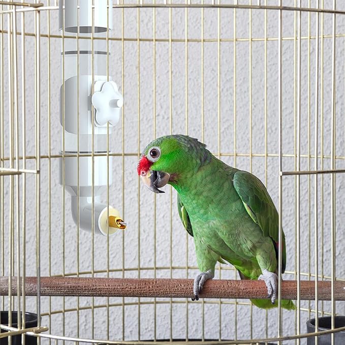 ALTUY Parrot Waterer, Bird Water Drinkers, Bird Cage Suspended Water, Parakeet Bird Water Dispenser, Budgie Drinker Bottle for Parakeet Finch Canary Lovebirds