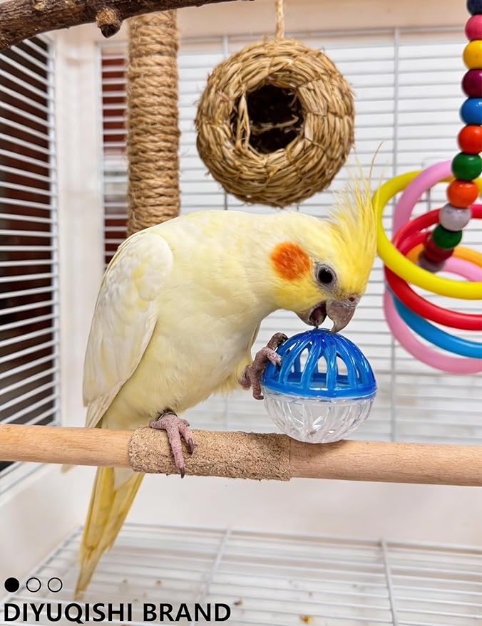 11 Pcs Bird Toys for Parakeets - Natural Cuttlefish Bone Calcium Chew Toys with Bells for Budgies, Lovebirds & Small Birds