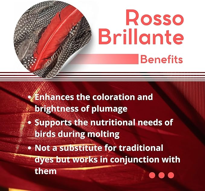 Pineta Rosso Brillante 200g Bird Food for Red Factor Canary and Finch – Canary Food to Enhances Feather Color, Ideal Comida para Pajaritos During Molting and Breeding Seasons