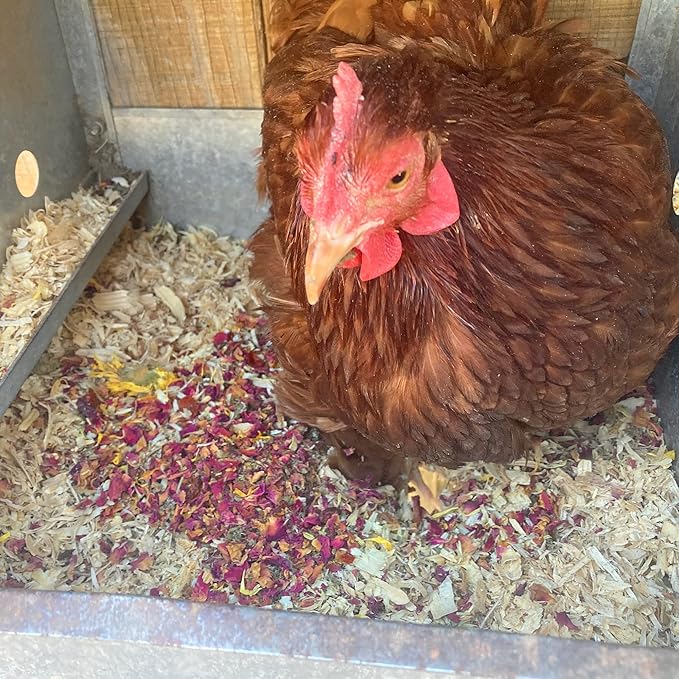 Chicken Nesting Herbs (8 pounds) - Naturally Keep A Clean Coop Your Hens Will Love – Backyard Chicken Supplies WormBGone
