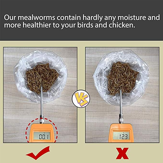 22 lbs Non-GMO Dried Mealworms for Wild Bird Chicken Fish,High-Protein,Lrage Meal Worms.