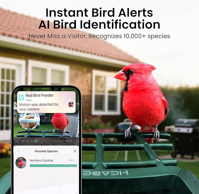 Bird Feeder with Camera Solar Powered 2K HD Video, 10,000+ Species AI Recognition, Real-Time App Alerts, and Weatherproof Design for Effortless Birdwatching, Gift for Bird Lovers, Grass Green