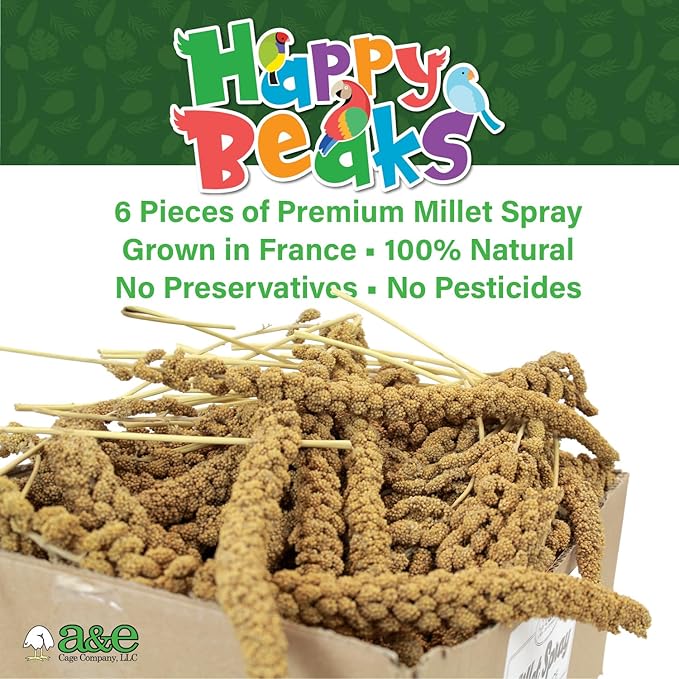 A&E Cage Co Premium French Millet Spray for Birds - 6 Piece, 3oz Pack Natural Spray Millet Treat - Healthy Bird Treat for Parakeets, Budgies, Cockatiels, Finches, Canaries & Small Birds